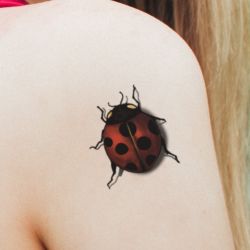 tatouage éphémère coccinelle