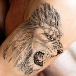 tatouage éphémère lion rugissant