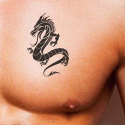 Tattoo temporaire dragon