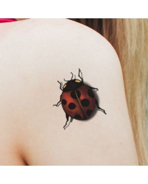 Tatouages ph m res Coccinelles Tatouages Temporaires